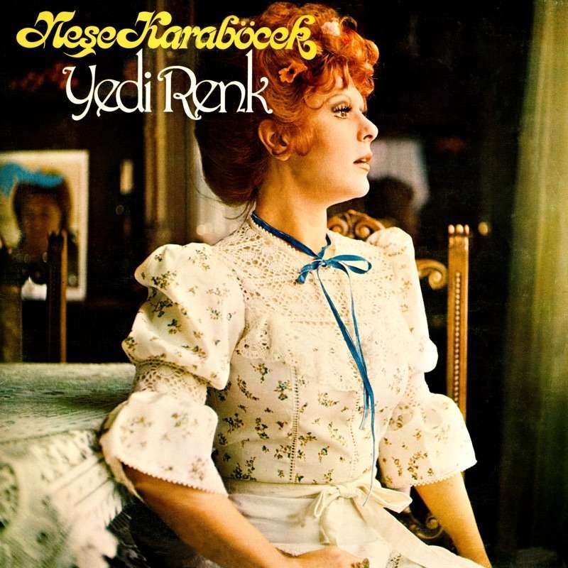 Neşe Karaböcek Yedi Renk